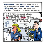 Facebook Apple Egg Storage