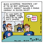 Silicon Valley Diversity