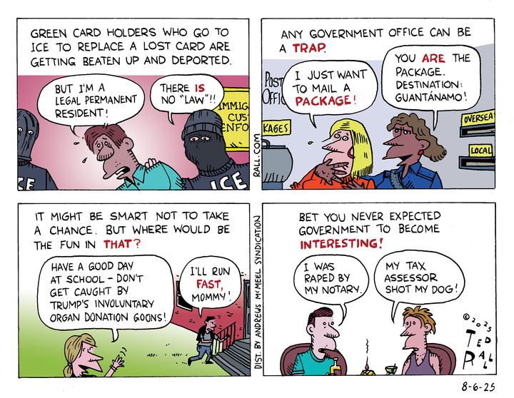 8-6-25